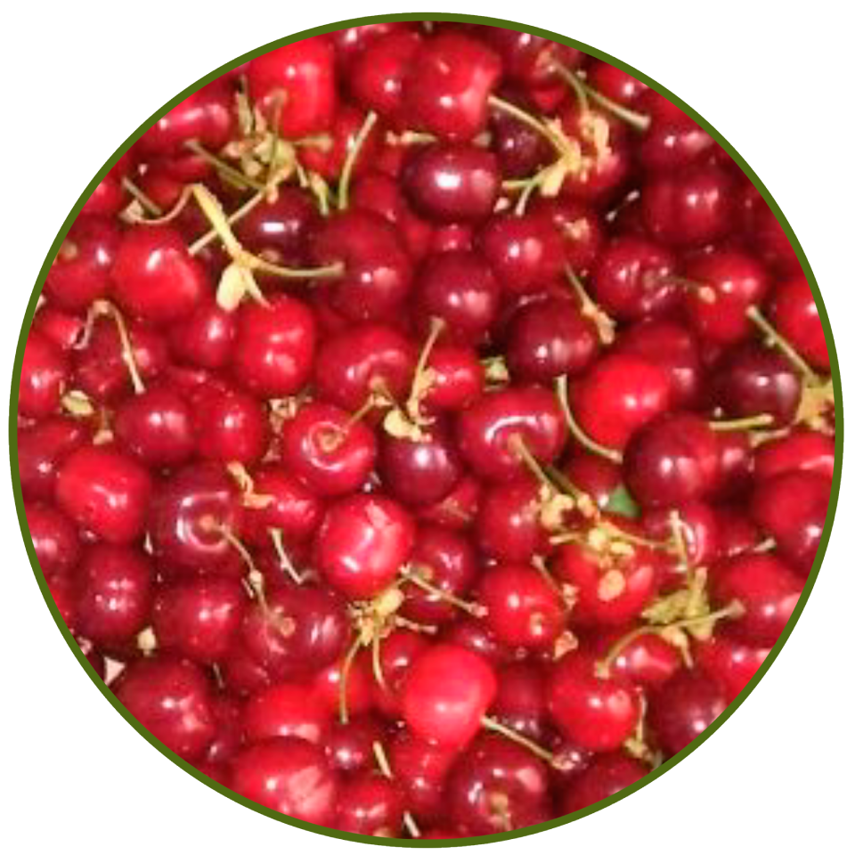 Cerezas