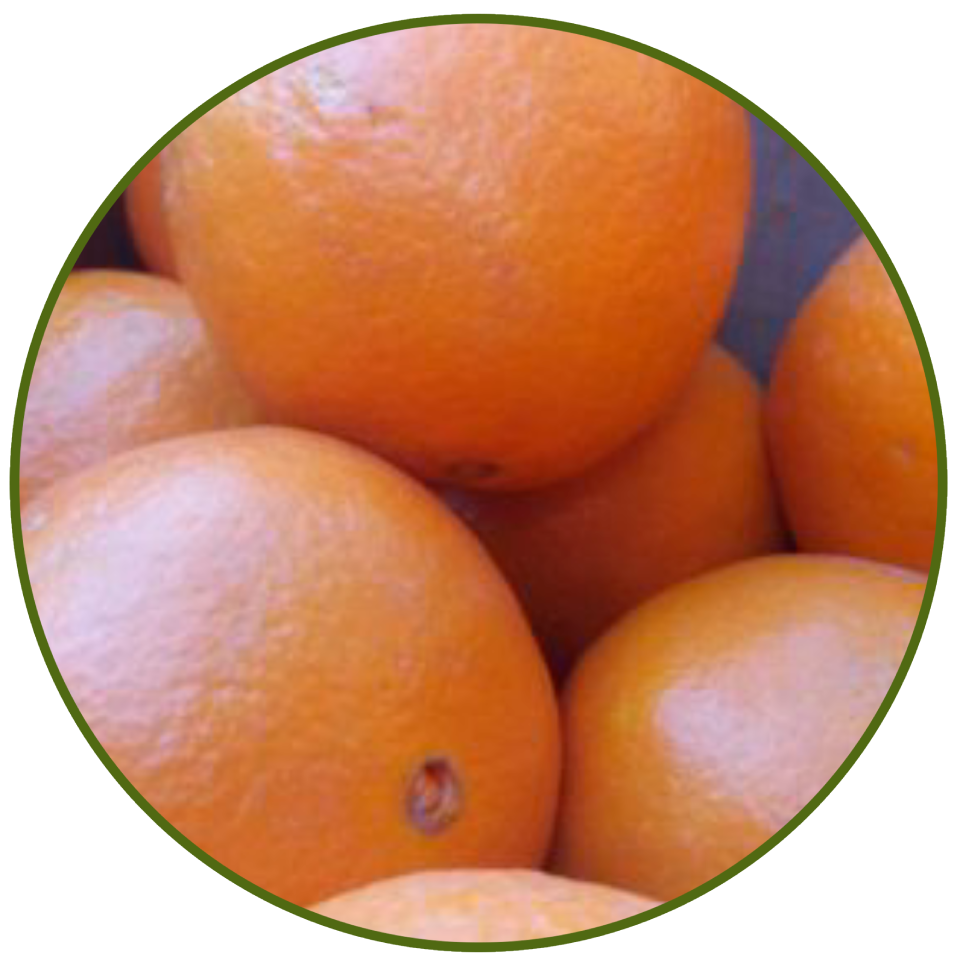 Naranjas de zumo