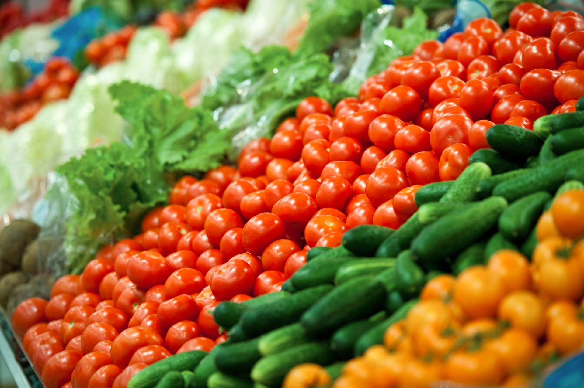 Tomates, pepinos y lechugas